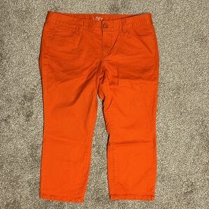 Ann Taylor loft, orange, modern crop pants size 29/8P